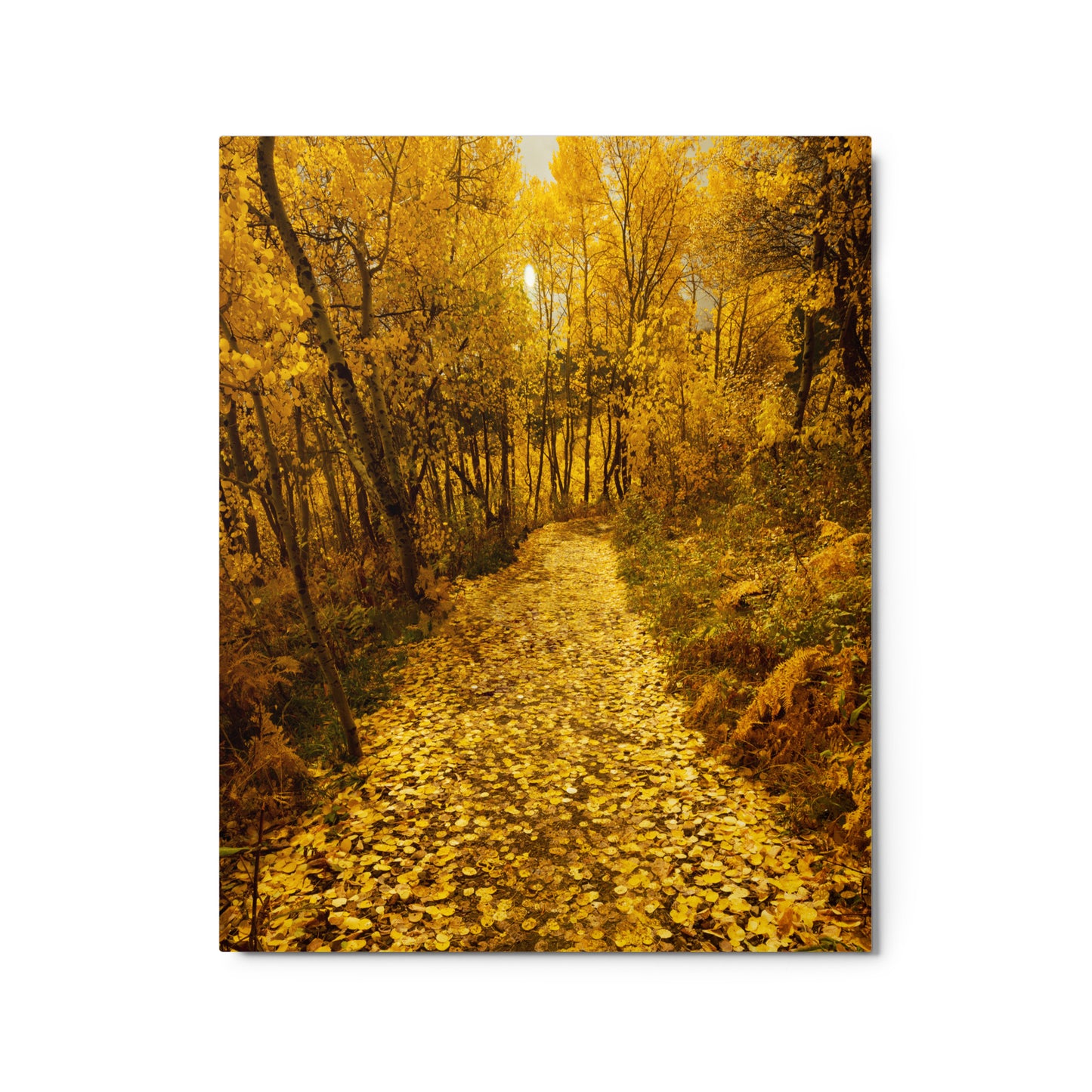 Golden Pathway