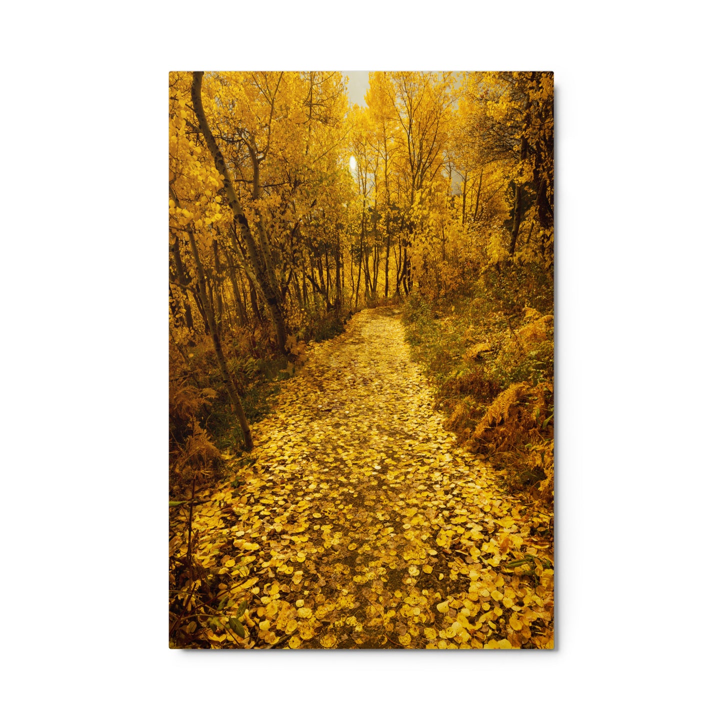 Golden Pathway