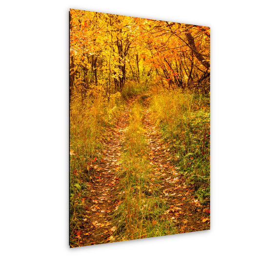 A Fall Walk in Utah