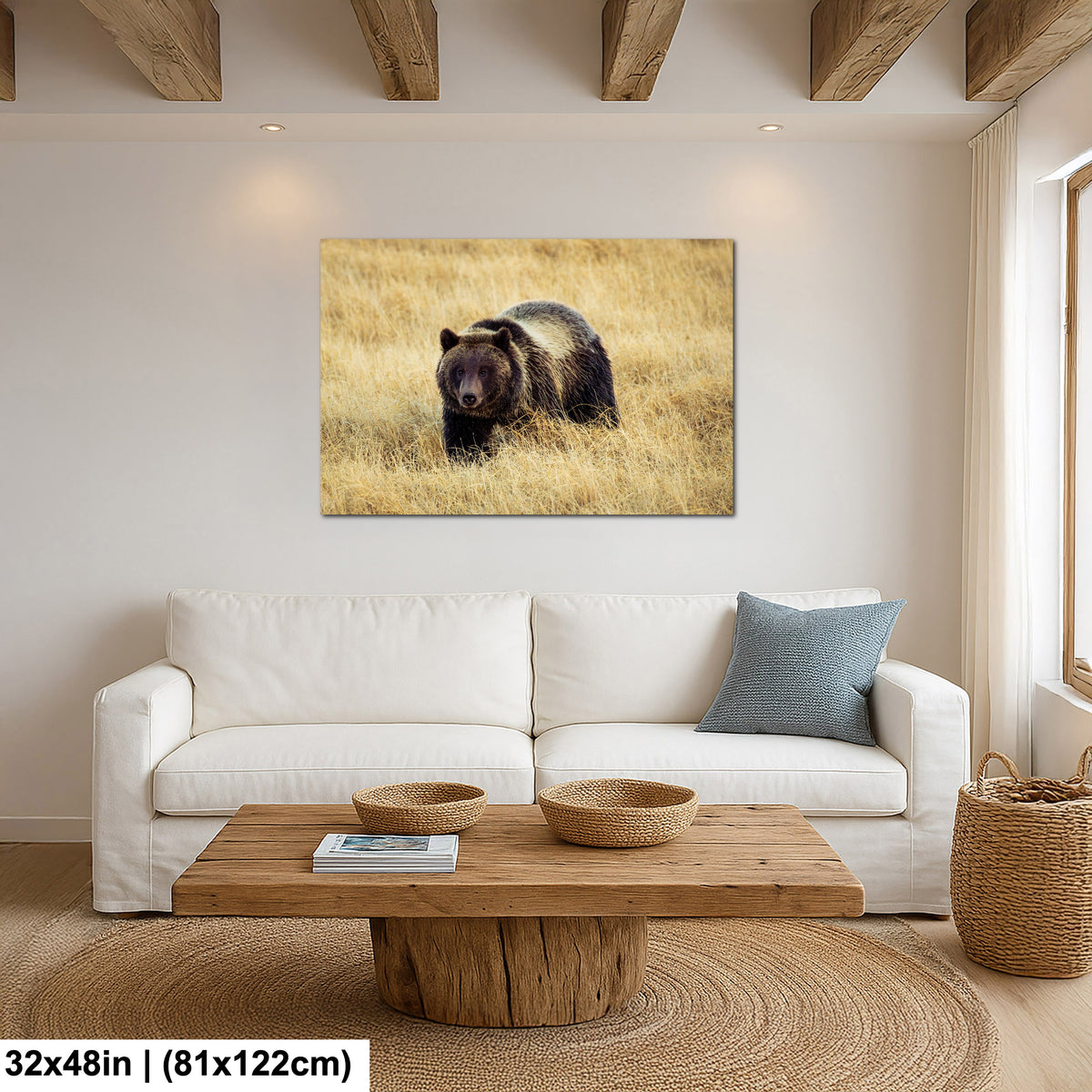 Grizzly Bear - Yellowstone National Park