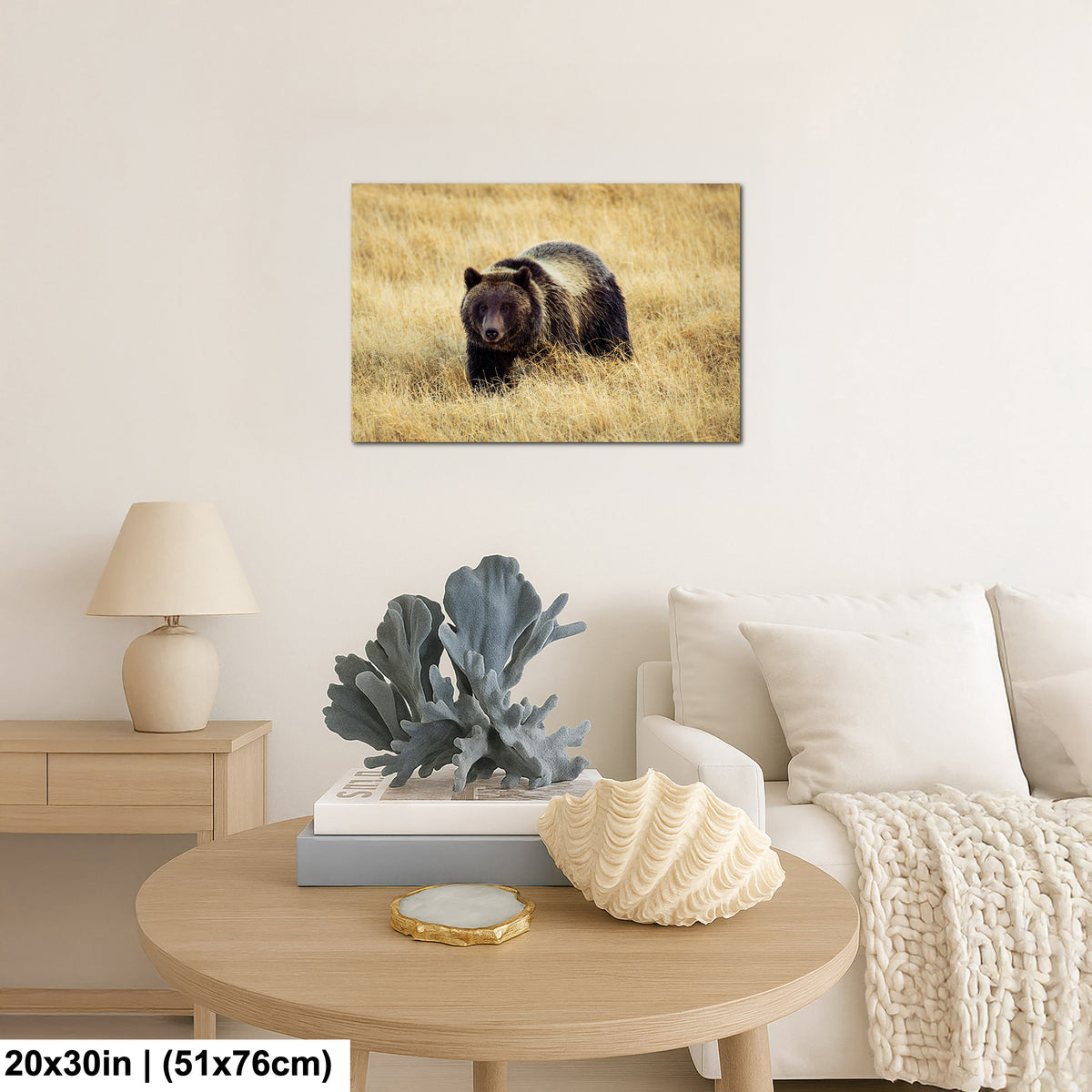 Grizzly Bear - Yellowstone National Park