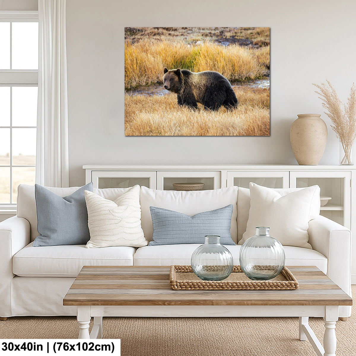 Grizzly Bear - Yellowstone National Park