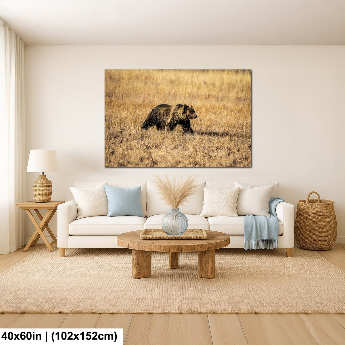 Young Grizzly Bear - Yellowstone National Park