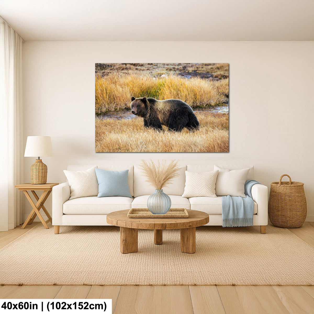 Grizzly Bear - Yellowstone National Park