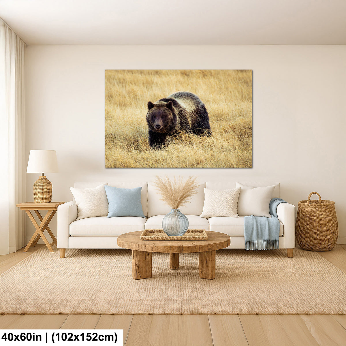 Grizzly Bear - Yellowstone National Park