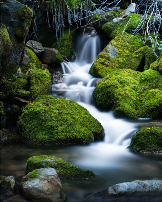 Emerald Flow