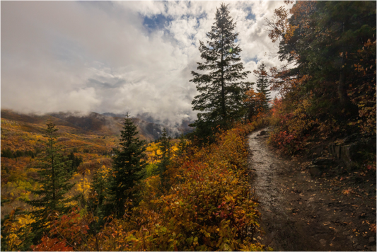 Fall Hike