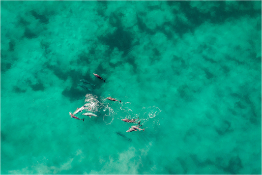 Ocean Playground