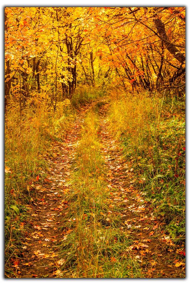 A Fall Walk in Utah